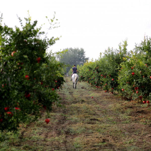 obraz_2025-05-16_093339581